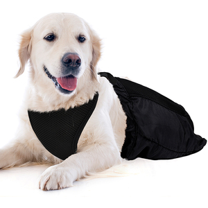 Polyester handicapé <span class=keywords><strong>chien</strong></span> <span class=keywords><strong>Transport</strong></span> sac de <span class=keywords><strong>transport</strong></span> fermeture à glissière intérieur récupération transporteur pour chats paralysés chiens poitrine membre - Product Image 4
