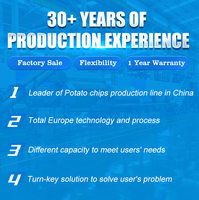 Sensitar 300 Kg/u Volautomatische Chips/Chips Maken Machine Met Multi-Voltage & Verwarming Opties Hoge Productiviteit Nieuw