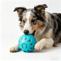 Balle de Luxe Automatique Moderne pour Animaux de Compagnie, Jouet à Mâcher en Plastique pour l'Auto-Entretenement, Article Tendance TikTok, Balle de Tirage Durable pour Chiens et Chats