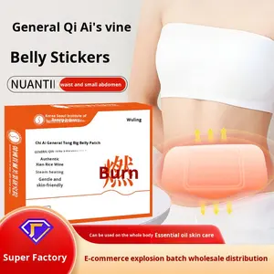 Термопластырь Qiai General Teng Da Di с самонагревающимся эффектом, на основе полыни, для согревания акупунктурных точек и пупка, травяной паровой моксибустонный пластырь (в коробке) - Product Image 5