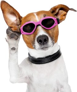 Accesorios para Mascotas, Gafas <span class=keywords><strong>de</strong></span> Sol UV400 para Perros, Plegables, Multicolores, Resistentes al Viento, Cómodas, para Exteriores - Product Image 6