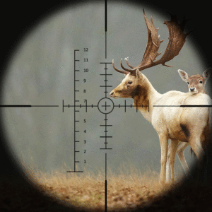 FIRE <span class=keywords><strong>WOLF</strong></span> 10-40x50 SF Afg Lunette de Visée Optique Tactique & Accessoires, Série Chassée 1, pour Chasse et Sports de Plein Air - Product Image 2