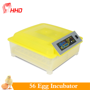 Incubadora <span class=keywords><strong>de</strong></span> <span class=keywords><strong>huevos</strong></span> <span class=keywords><strong>de</strong></span> canario y aves fértiles, yz-56 - Product Image 2