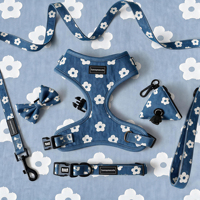 Ensemble Harnais Rembourré pour Chien en Denim Imprimé, Réglable, Respirant, Anti-Traction, Confortable, avec Collier, Laisse et Boucle à Libération Rapide, Logo Personnalisé
