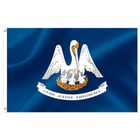 Drapeaux d'États américains en polyester 3x5FT du Kentucky avec œillets métalliques pour fêtes, défilés, événements sportifs et décorations extérieures