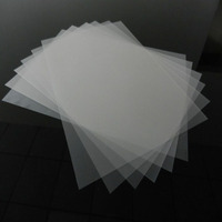 Papel de transferencia térmica A3 DTF para transferencia de mascotas, hojas de pretratamiento transparentes y brillantes para camisetas DYI Direct, mono, calcetines y bolsas textiles