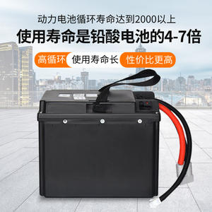 Zhongli Lithium <b>Battery</b> Pack 24V 40Ah <b>48V</b> 20Ah For Electric Forklifts 260x170x220mm LiFePO4 Solid State - Product Image 3