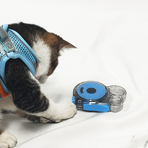 Tùy Chỉnh Pet Đào Tạo Có Thể Thu Vào Con Chó Dây Xích 3M Hands Miễn Phí Ngoài Trời Đi Bộ Dẫn Cho Chó Nhỏ Mèo Chồn Nhà Máy Giá - Product Image 6