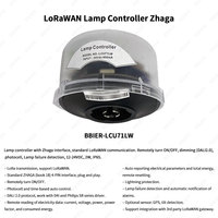 BBIER Urban Lighting Système de contrôleur de lampadaire Lora extérieur Lora-Mesh IoT Solution Smart LED Street Light