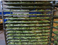 Film chauffant infrarouge de 50 cm de large, 220 W/m², pour l'incubation des semences agricoles et le séchage des aliments