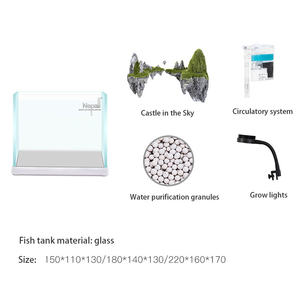 Nieuwe Hot Koop Creative Ecologische Kleine Aquarium Aquarium - Product Image 6