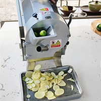 Multifunctionele Groentechopper En Snijder Groentefruitchips Snijmachine Roestvrijstalen Groentehakselaar
