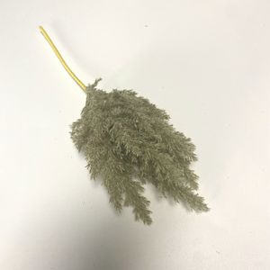 Flores artificiales de flocado, hierba de pampas de imitación para ramo de boda, bricolaje - Product Image 5