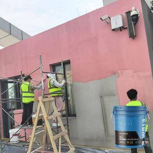 Anti Cracking Waterproof Anti Seepage Polymer Environmentally Friendly Premium Formula Exterior Walls Waterproof Coating - Product Image 5