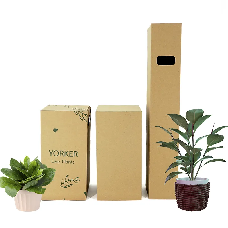 Ustom-caja de cartón corrugado para plantas, paquete de embalaje con logotipo impreso, color marrón