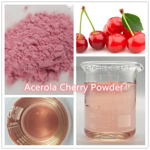 Free Sample ISO Halal <strong>Acerola</strong> <strong>Cherry</strong> Extract Powder Good Flavor Organic <strong>Acerola</strong> <strong>Cherry</strong> Powder for Food Drink - Product Image 2