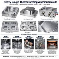 Carcasa de Plástico Termoformado al Vacío de Pared Gruesa Personalizada de PP, ABS, HIPS, PC de Calibre Pesado OEM de Fábrica Uplastech