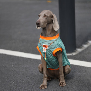 בגדי קיץ דקים במיוחד XXL לכלבים גדולים, רשת נגד נשירת שיער, עבור לברדורס, בורדר קולי וגולدن רטריבר - Product Image 2