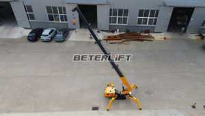 Cần Cẩu Bánh Xích 2 tấn đến 14 TẤN hoàn toàn tự động trong nhà ngoài trời cần cẩu mái nhỏ kiến trúc di động Cần cẩu 3 tấn - Product Image 6