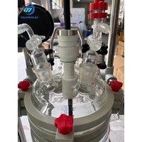 Circulateur automatique de réaction en verre borosilicaté de haute qualité 5L à double paroi avec chauffage et refroidissement par moteur pour la circulation des solvants