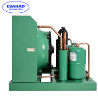 Unité de condensation pour entrepôt frigorifique avec compresseur R404 4FES-5Y Bizer