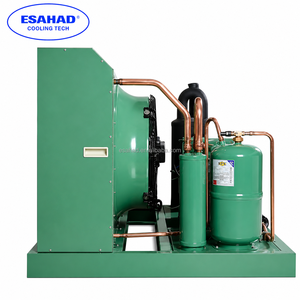 Unité de condensation pour entrepôt frigorifique avec compresseur Bitzer 4FES-5Y R404 - Product Image 3