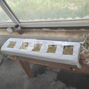 Chất lượng cao thủy canh đá len 75 kg/m³ 35*8*3 inch đá Len thủy canh phát triển dải đá len phát triển tấm - Product Image 5