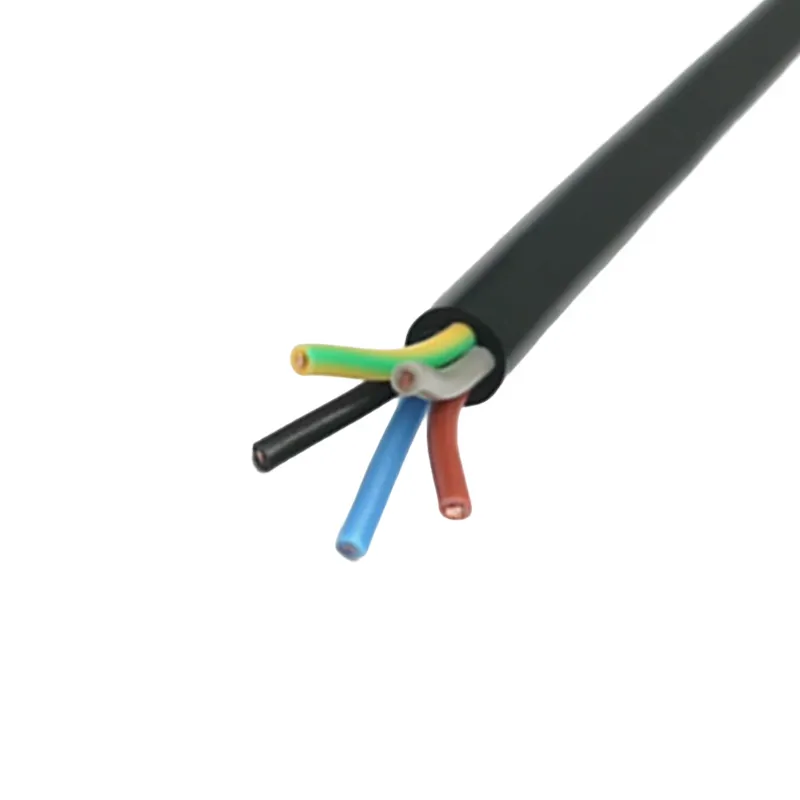 Rvv 2 Core Electric Wires Cables 2.5mm New Pe Pvc Dual Core Oxygen-free Copper Home Insulated Low Voltage Cable