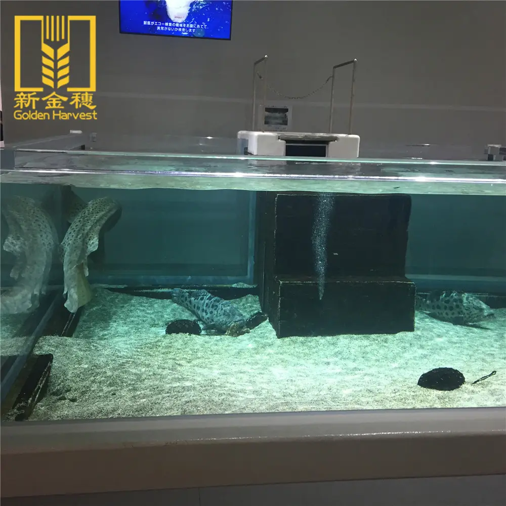 Tanques de acuario de acrílico de gran tamaño personalizables, cristal bajo en hierro, ultra blanco, tanque de peces de vidrio transparente, tanque de acuario de agua salada