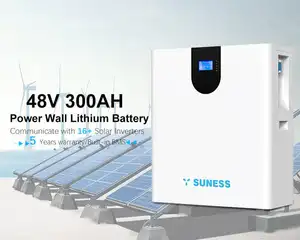 15KW 300ah充電式リチウムイオン電池パックソーラーバッテリーLifepo4バッテリー価格