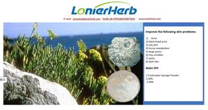 Spongilla иглы пилинг порошок гидролизованная губка 95% 99% для пилинга кожи сыворотка спикулы - Product Image 3