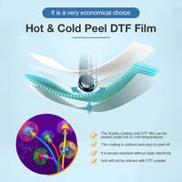 Film DTF tout-en-un à peau chaude et froide (60cm * 100m), film de transfert DTF en rouleau mat double face pour tous les tissus et couleurs