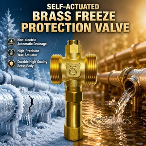 Válvula de Drenaje Anticongelante de Seguridad de Latón, Autoactivada, Sin Electricidad, Control de Temperatura, Protección Contra Congelación, Bomba de Calor de Fuente de Aire, EPDM - Product Image 1