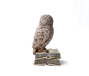 Statue d'animaux magiques en résine, Figurines de hibou à collectionner, accessoire de décoration pour la maison, personnalisé, 21 cm - Product Image 5