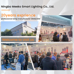 1W tiết kiệm năng lượng hộ gia đình dẫn cảm biến ánh sáng ban đêm Vòng 110V-240V ấm trắng Quy Nạp Plug-in tường ánh sáng ban đêm cho bé trẻ em - Product Image 5