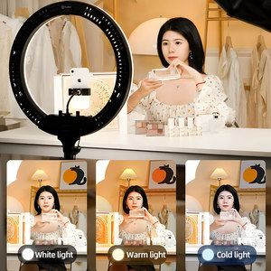 Éclairage professionnel de photographie de studio LED 200W-350W, variable 2800-6500k, pour photo et vidéo en direct - Product Image 5
