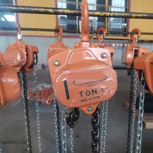 3ton <span class=keywords><strong>5ton</strong></span> 10ton đôi tải chuỗi nhãn hiệu Palăng OEM hợp kim thép nâng móc tay dây ròng rọc Palăng chuỗi khối - Product Image 1