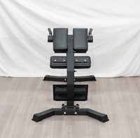 Vente chaude force Fitness équipement banc romain dos Extension formateur