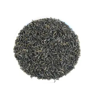 FREE SAMPLE Best taste High Quality Hot Selling China chunmee green tea to Africa countries for Digestion