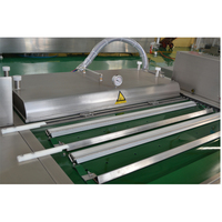 Machine d'emballage sous vide en continu pour fruits de mer poisson saumon tilapia steak boeuf bande transporteuse machine d'emballage sous vide