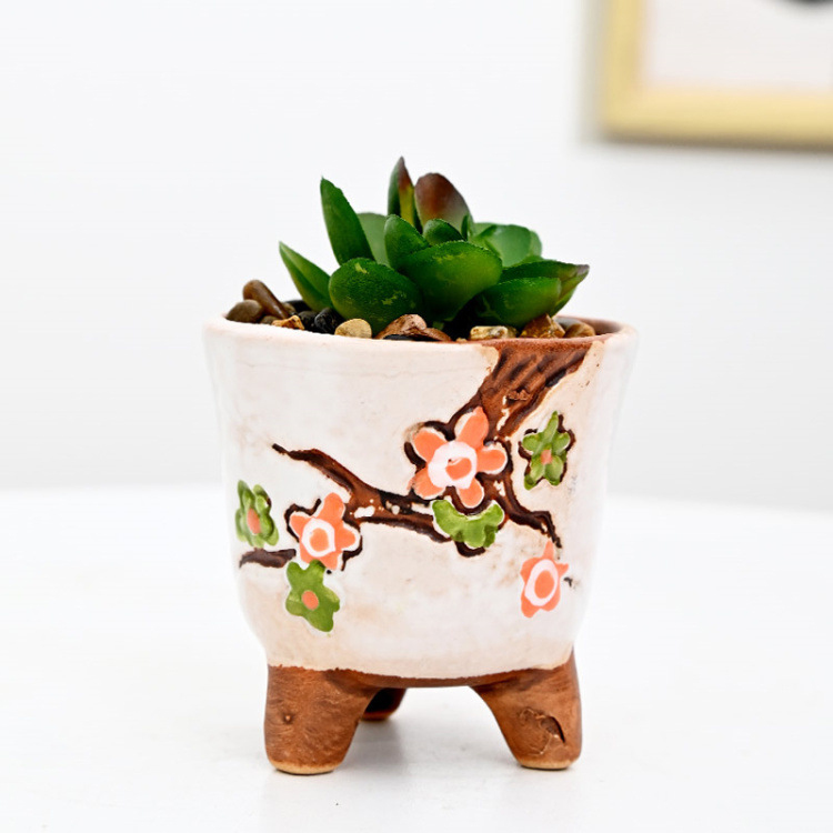 2 inch succulents 12 Succulents Assorted Succulent Plant Pack Collection, Live Mini Succ –  Gingerglow main image 0