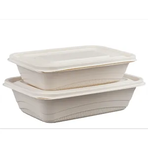 Factory Direct Sales Restaurant Hotel Corn Starch Biodegradable Box Microwave Lunch Plate