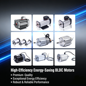 사용자 정의 좋은 가격 4000 rpm 2kw 500w <span class=keywords><strong>800w</strong></span> 3kw 전기 브러시리스 <span class=keywords><strong>DC</strong></span> 모터 24v 2000w 3000w - Product Image 5