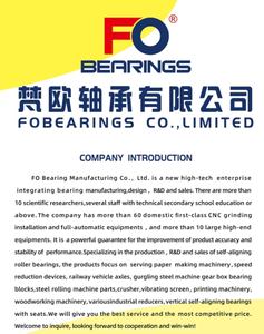 Roulement à billes à gorge profonde de haute qualité 6410 6411 6412 6413 6415 6416 6417 6418 6419 N sans joints, divers modèles - Product Image 6