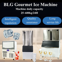 Máquina de Hielo en Cubos, Máquina de Hielo Gourmet, Máquina de Hielo de 300 kg, Máquina de Hielo en Cubos BLG
