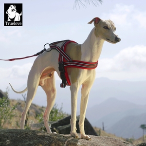 Harnais pour chien Truelove en nylon souple et respirant, réfléchissant, anti-traction, réglable en forme de H, pour l'entraînement, modèle de luxe, vente en gros - Product Image 5