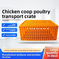 Cage de transport pour poulets en plastique PP de haute qualité, durable, prix de gros usine