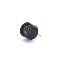 Transducteur piézoélectrique de type divisé en plastique de 40 kHz et 107 mm, sonde de mesure de la concentration en oxygène, capteur ultrasonique