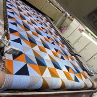Tissu en polyester à impression dispersée de poids lourd pour la fabrication de draps, de parures de lit, de rideaux, de draps-housses