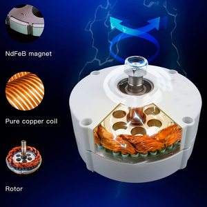 <span class=keywords><strong>Générateur</strong></span> <span class=keywords><strong>à</strong></span> aimant permanent 600W 12V/24V/48V 650RPM Triphasé sans balais AC pour systèmes éoliens et hydroélectriques DIY - Product Image 4